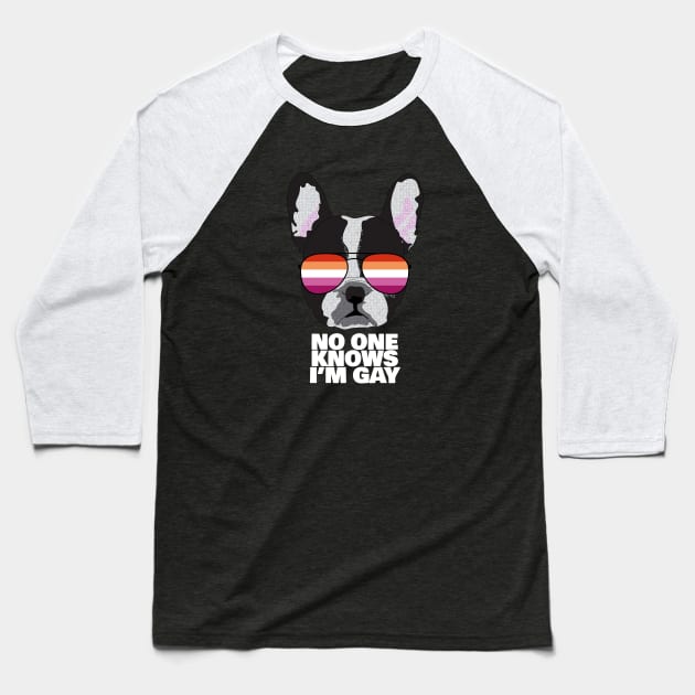 Funny Lesbian NO ONE KNOWS I'M GAY - Boston Terrier Dog Lesbian Pride Flag Baseball T-Shirt by NightField